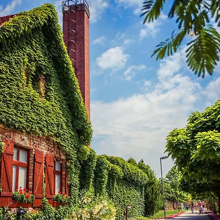 Termal Camping Lipót